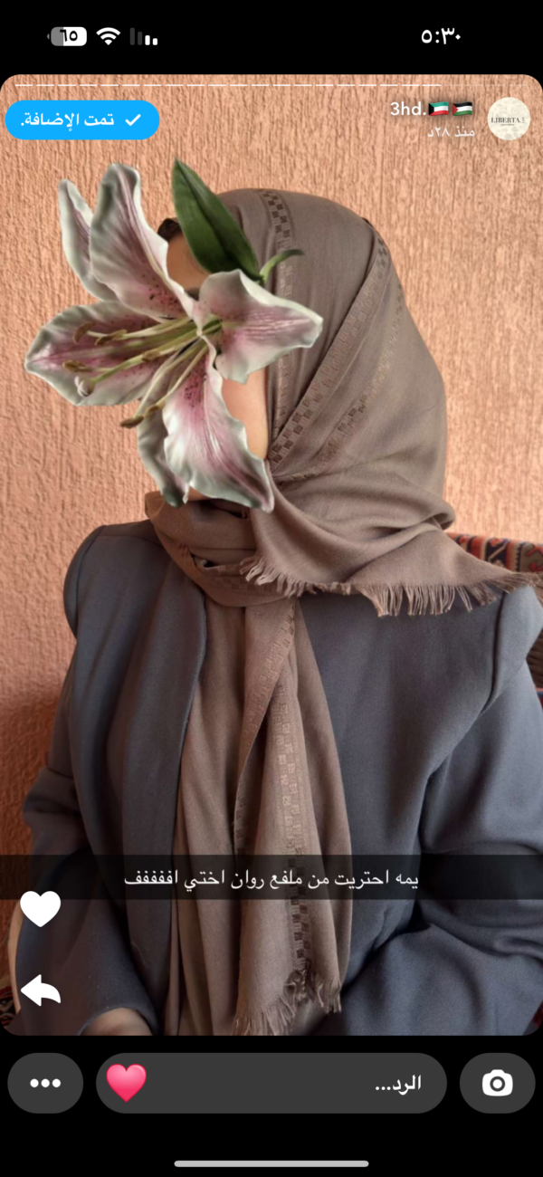 ملفع شال خفيف بني رمادي